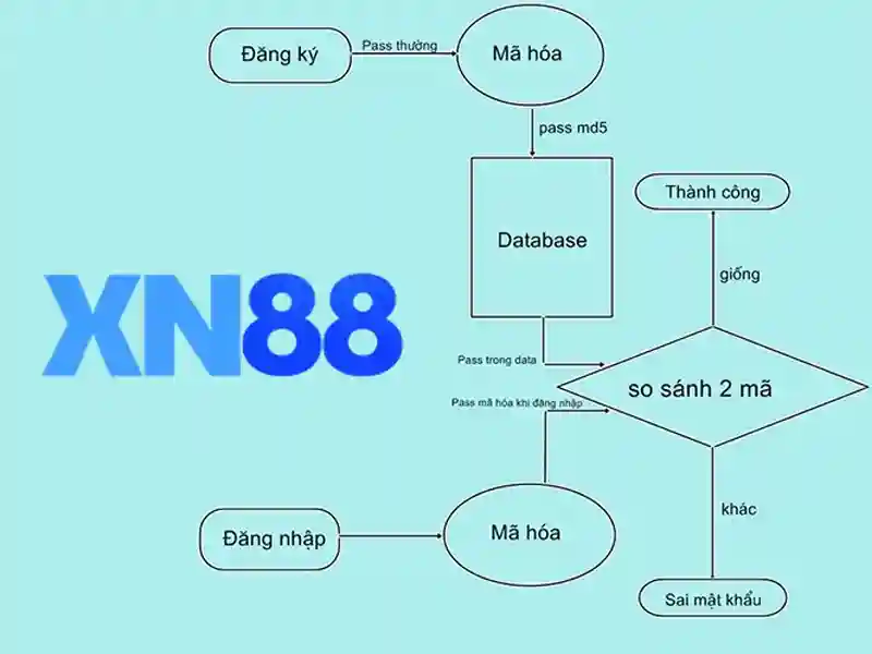 Giới thiệu về xn88\n