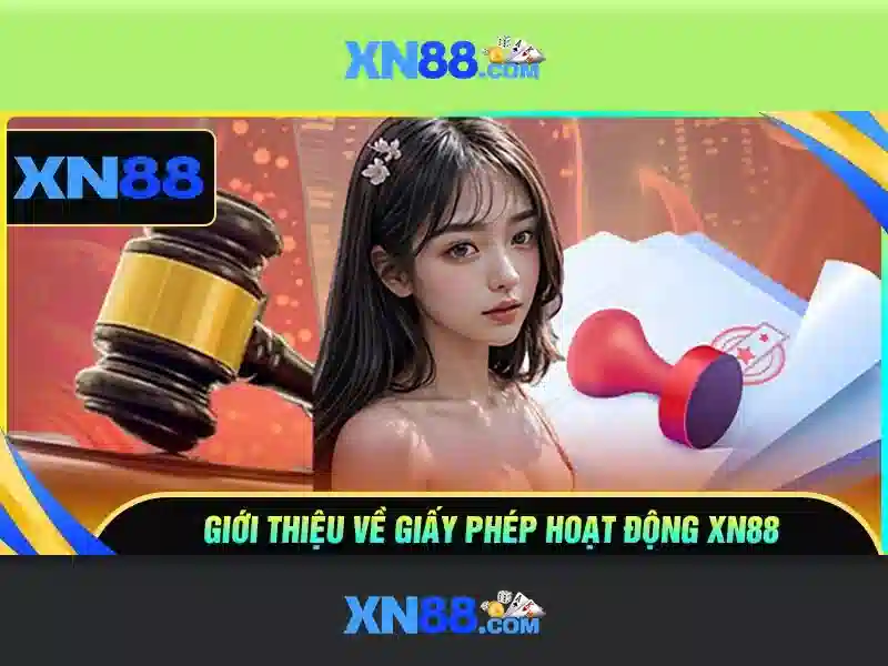 Trải nghiệm người dùng và di động