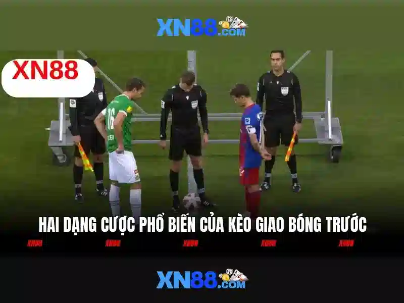 Kết luận và trải nghiệm thực tế
