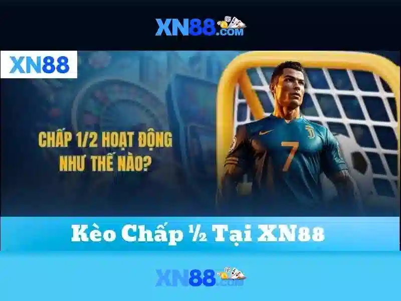 xn88: Tong quan va huong dan su dung