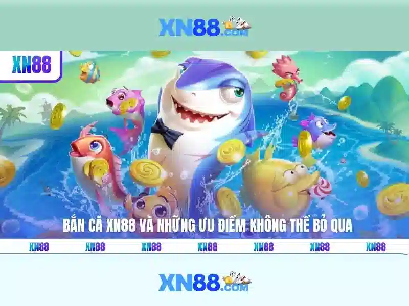 Trải nghiệm người dùng và phản hồi từ cộng đồng