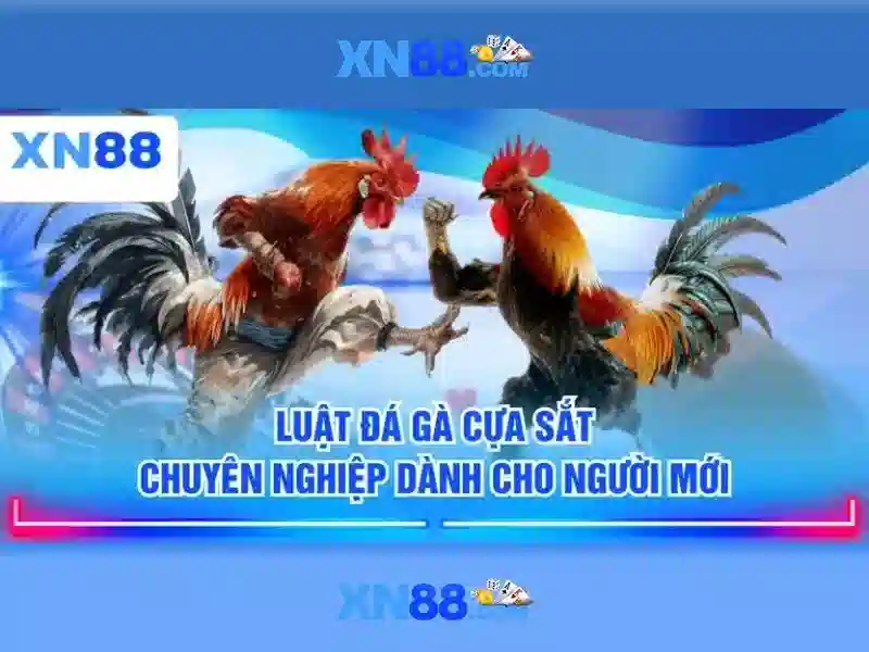 xn88: Trải nghiệm chơi game trực tuyến an toàn và giải trí