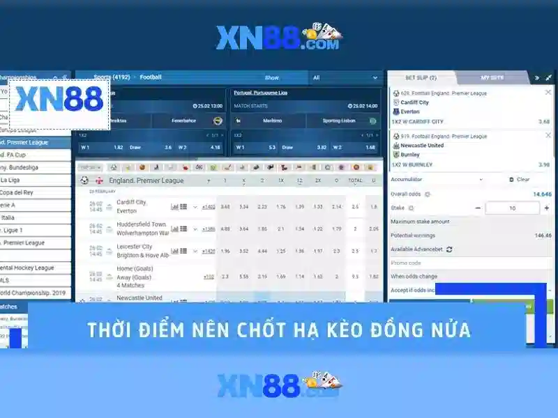 Lịch sử và phát triển
