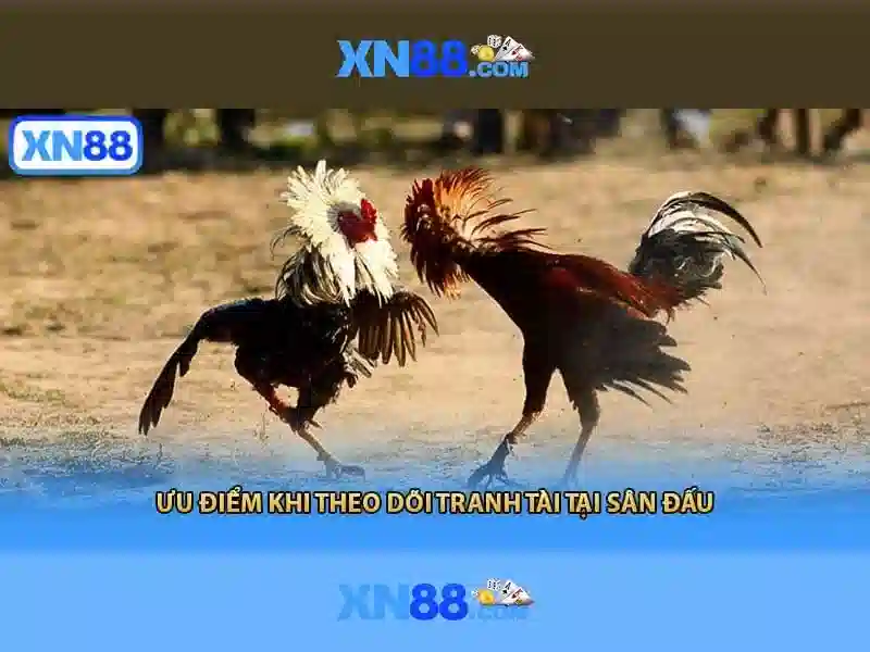 xn88 - Nền tảng trò chơi trực tuyến đáng tin cậy