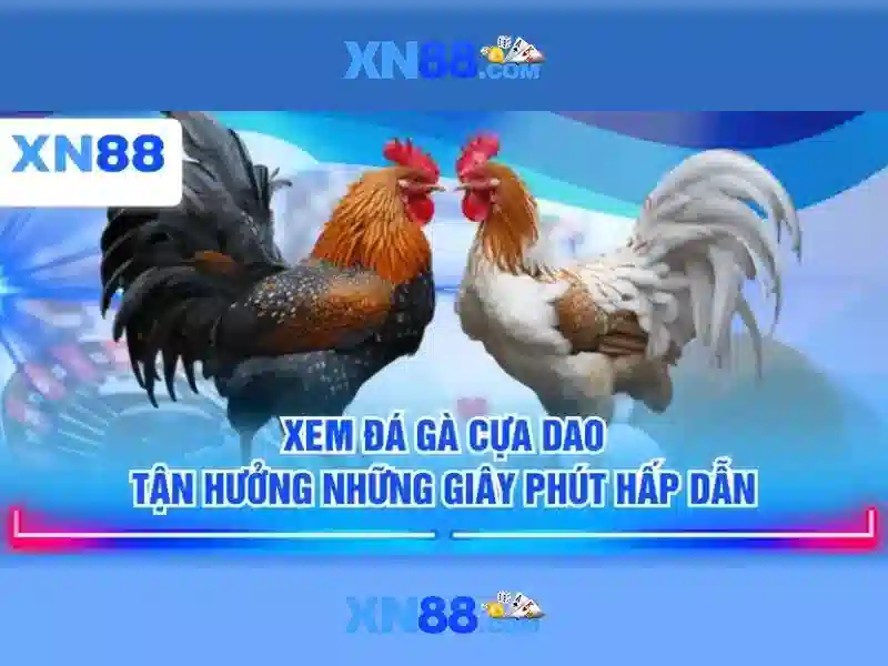 An toàn và trách nhiệm khi tham gia xn88