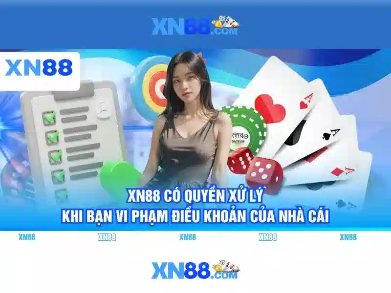 Trải nghiệm người dùng và tương tác