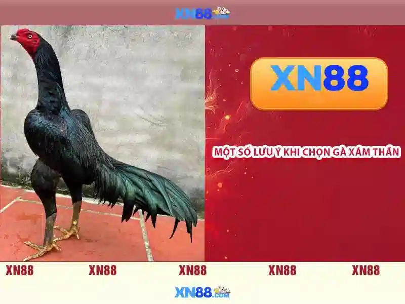 xn88: Tổng quan, tính năng và lưu ý an toàn