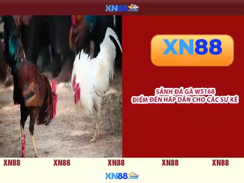 Trai nghiem nguoi dung tai ap xn88