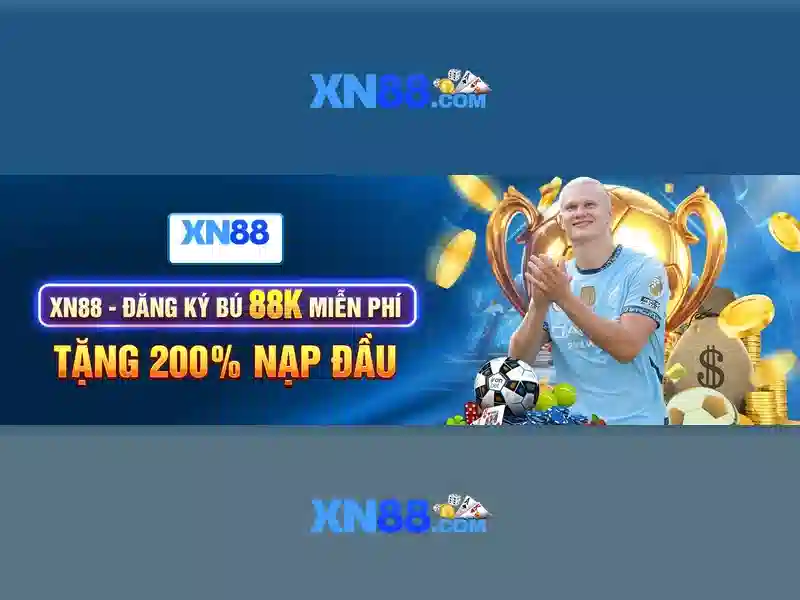 Hỗ trợ và cộng đồng