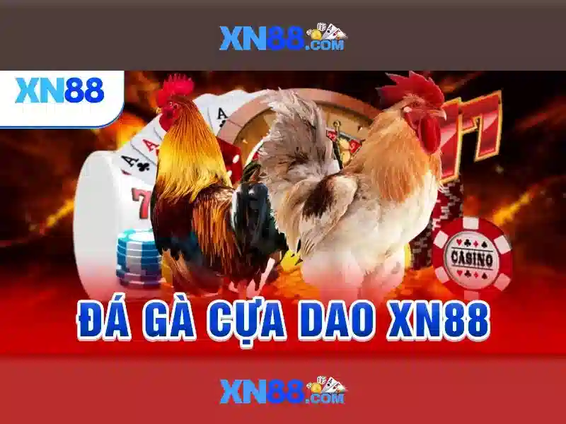 xn88 fit – Trải nghiệm và đánh giá, cách tải xn88 app com