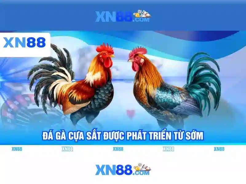 xn88 store – Tổng quan chủ đề và giá trị cốt lõi