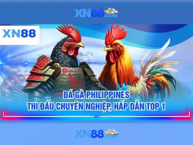 An toàn và trách nhiệm khi tham gia xn88\n\n