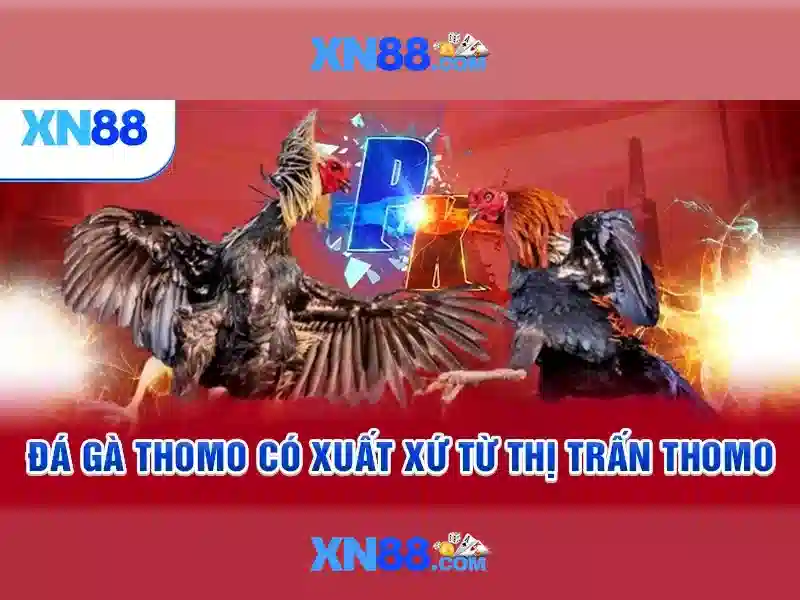 An toàn và bảo mật khi sử dụng xn88