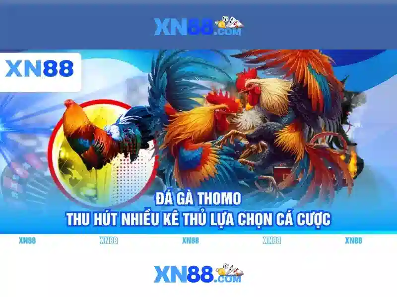 xn88: Nền tảng giải trí trực tuyến và đánh giá tổng quan