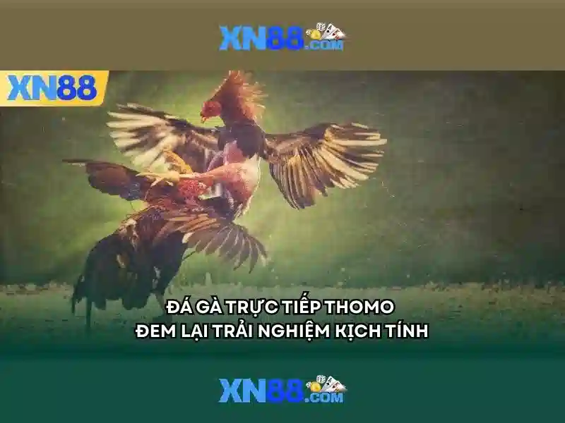 An toàn và bảo mật