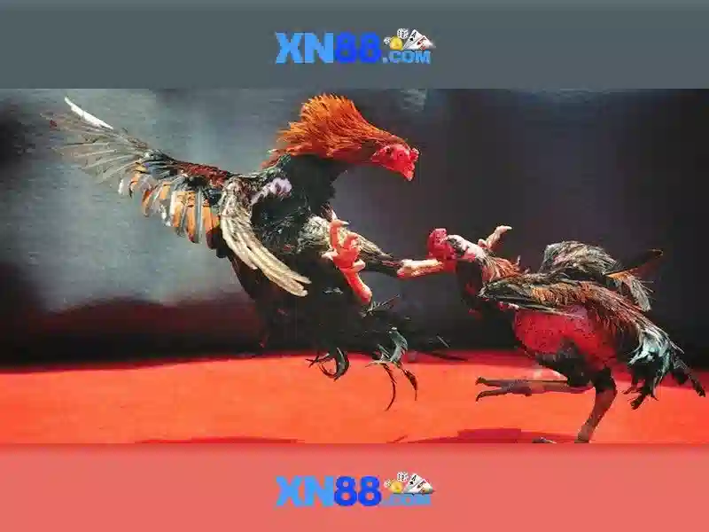 xn88: Tổng quan và những điều bạn cần biết