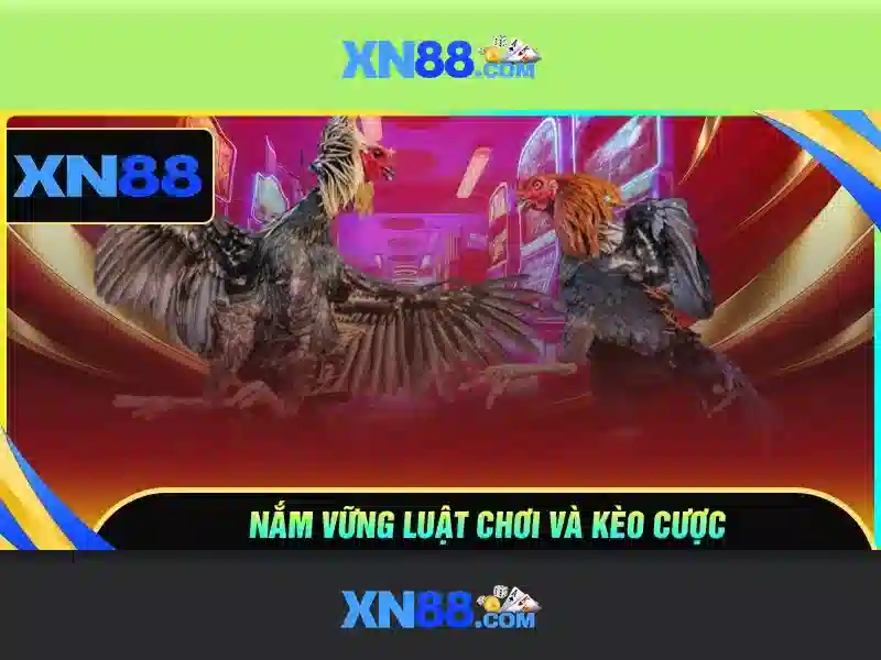 xn88: Trải nghiệm cá cược trực tuyến an toàn và đột phá