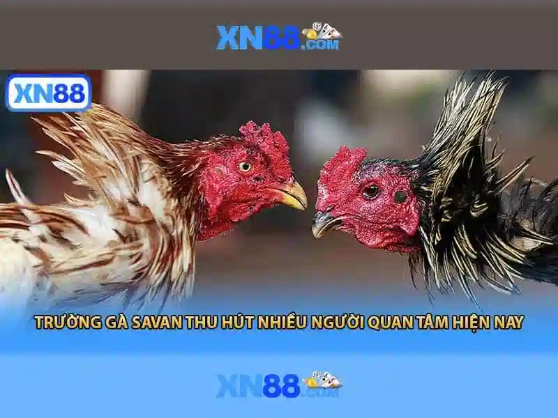 xn88 là gì và những khía cạnh quan trọng