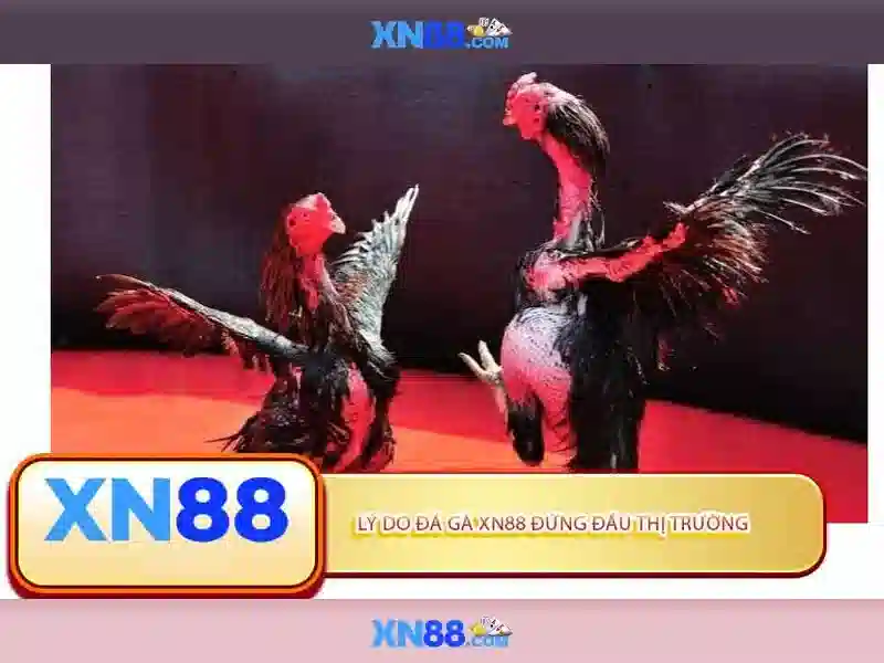 Uy tín và an toàn tại xn88