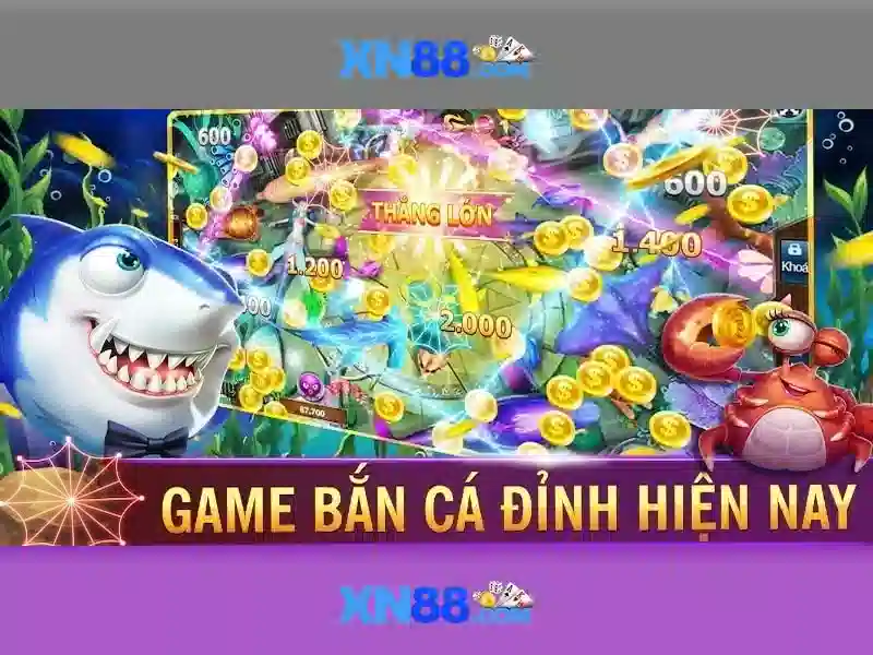 Giao diện và trải nghiệm người dùng