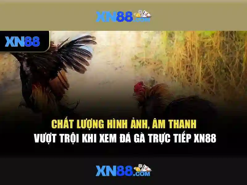 An toàn và quyền riêng tư