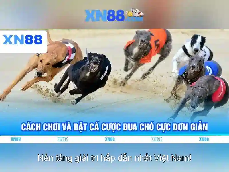 Các sản phẩm và dịch vụ