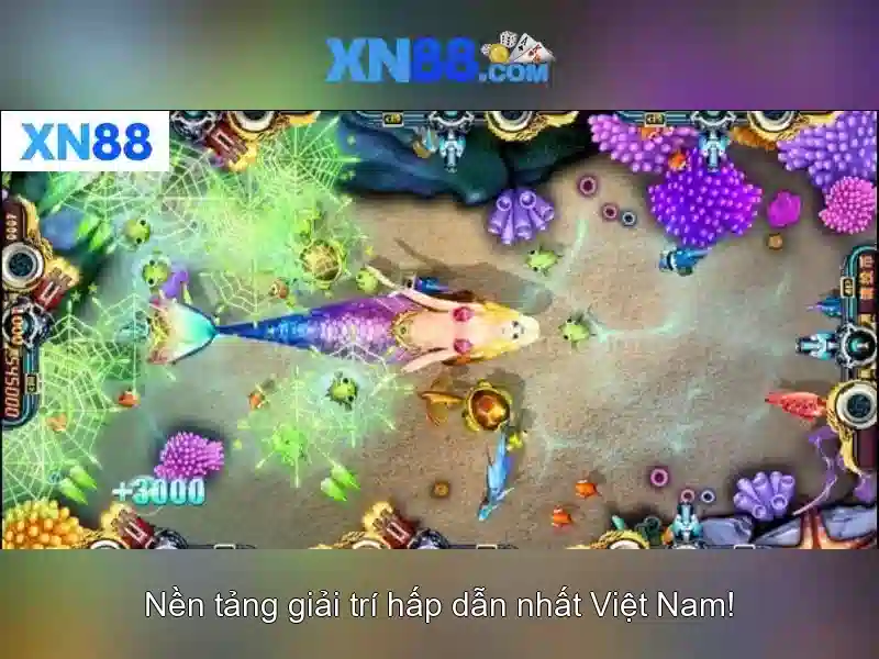 Khuyến cáo và rủi ro