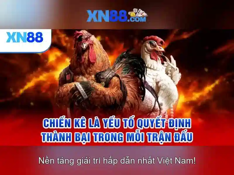  xn88 - Nhà cái trực tuyến hàng đầu