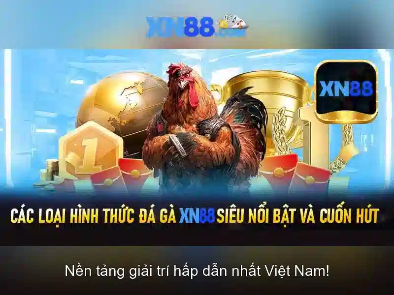 Khuyến nghị cho người chơi mới