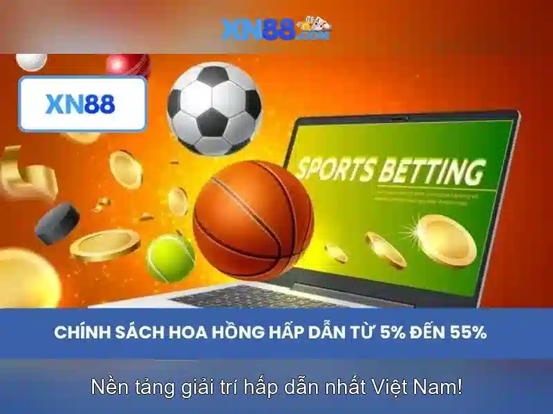 Đánh giá và tương tác của người dùng\n