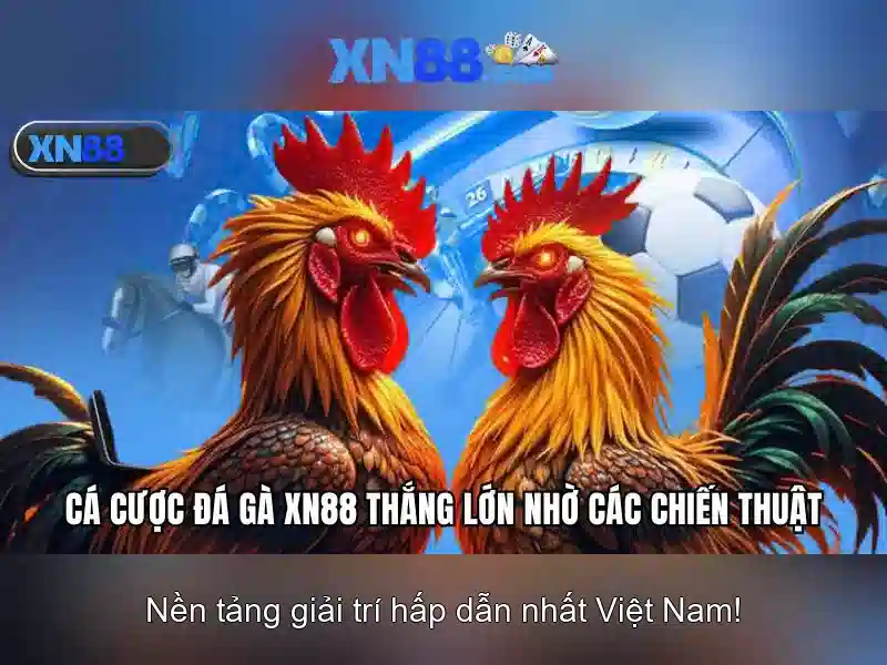 xn88 là gì và cách hoạt động trong thế giới cá cược trực tuyến