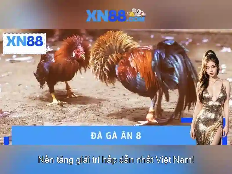 Giới thiệu về xn88: nền tảng giải trí trực tuyến