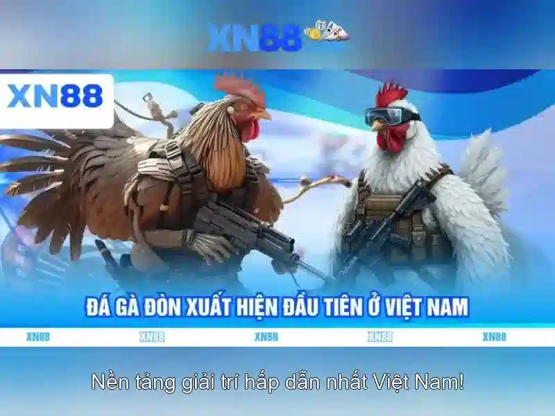 Giới thiệu về xn88\n
