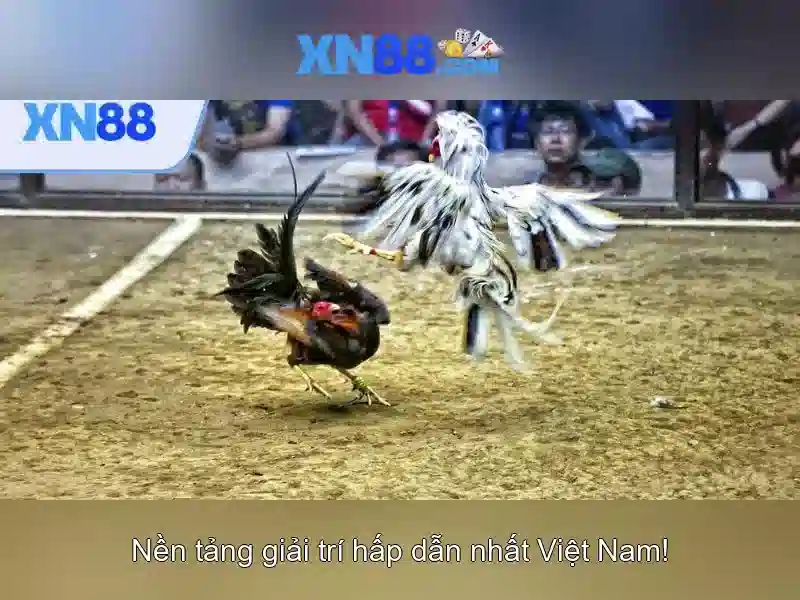 Mẹo chơi bắn cá 3 cây dễ ăn tiền nhà cái