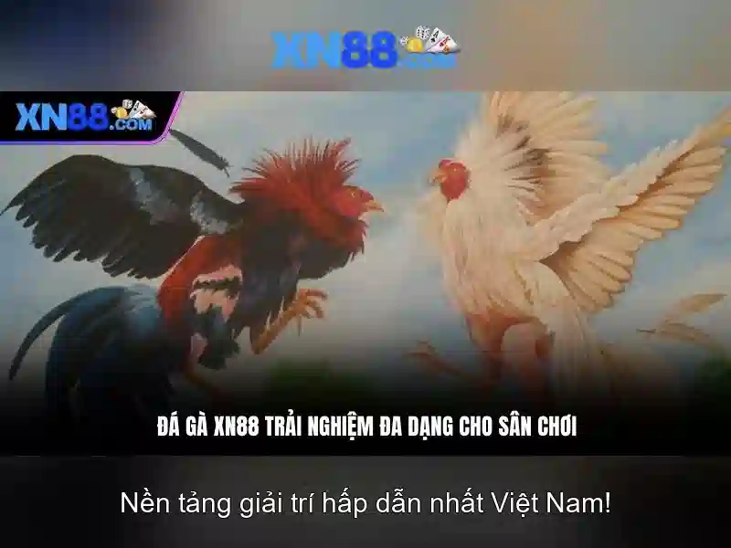 Các tính năng nổi bật của XN88\n\n