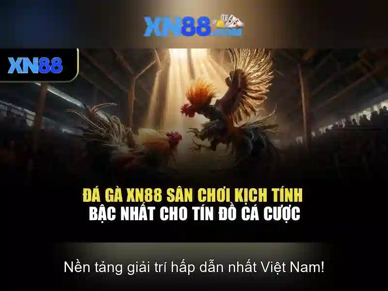 Ưu điểm và sức cạnh tranh
