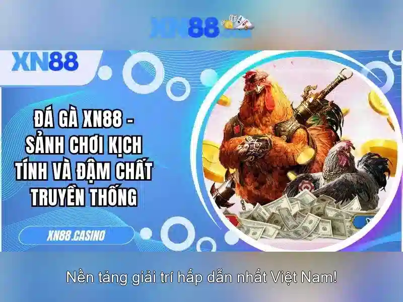 Các sản phẩm và dịch vụ của xn88