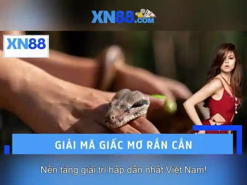 Trải nghiệm người dùng và hỗ trợ
