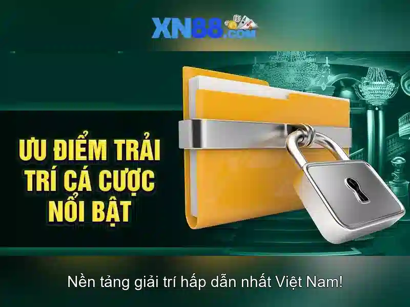 Trải nghiệm người dùng