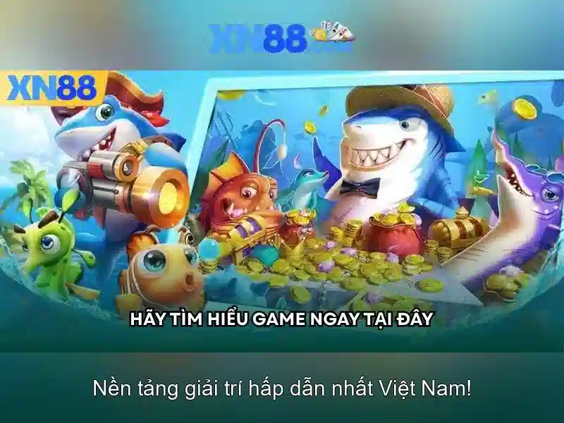 Kinh nghiệm người dùng và hỗ trợ