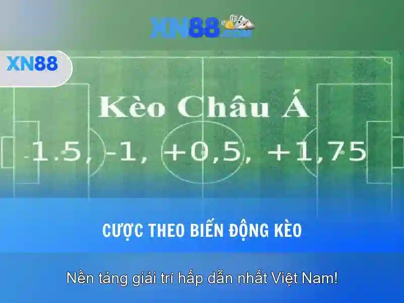 Lời kết và đánh giá
