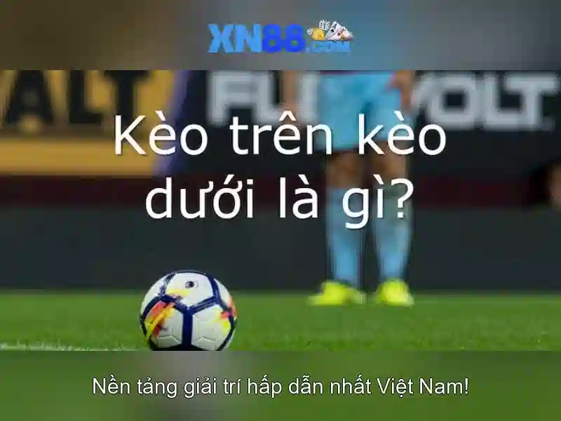 Cách hoạt động và cơ chế khuyến mãi\n