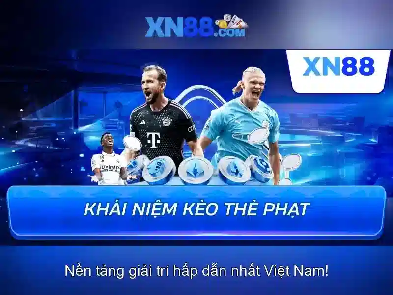 Hỗ trợ khách hàng