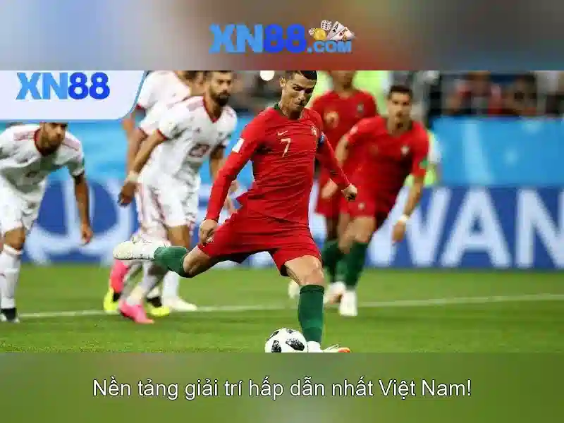 Giới thiệu về xn88