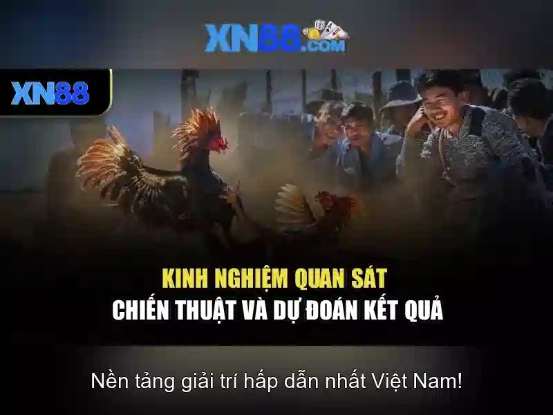 Kết nối và trải nghiệm người chơi