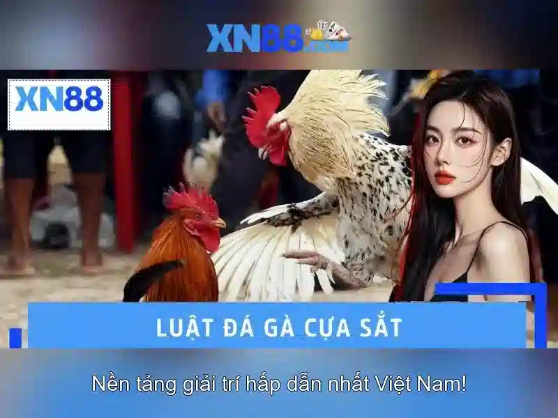Lịch sử và mô hình hoạt động\n\n