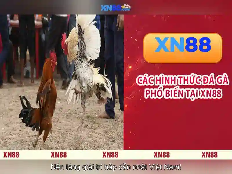 Các tính năng nổi bật\n