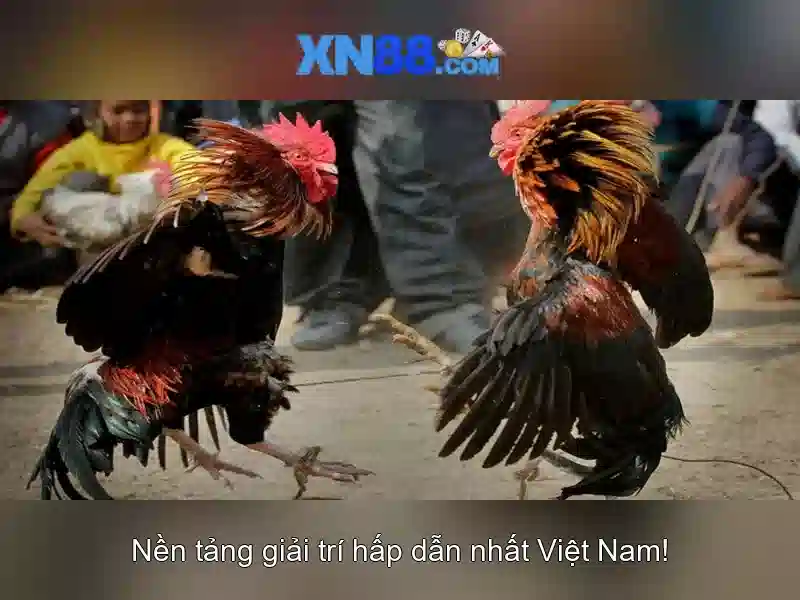 Mẹo chơi bắn cá 3 cây dễ ăn tiền nhà cái