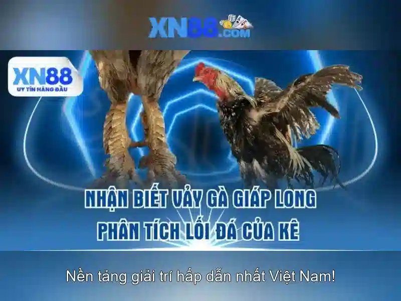 Mẹo chơi bắn cá 3 cây dễ ăn tiền nhà cái
