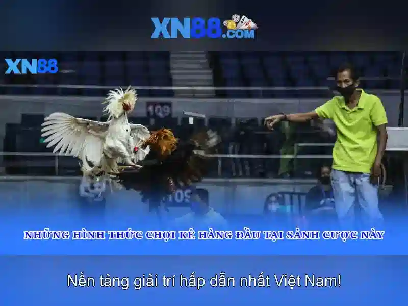 Các tính năng nổi bật